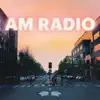 Knights In Shining Armchairs - AM Radio - EP